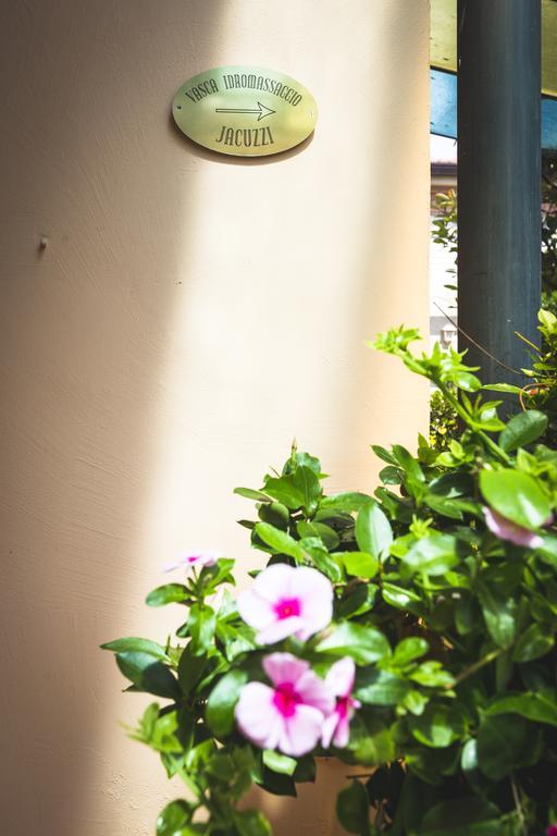 Hotel Sonia Forte dei Marmi Buitenkant foto